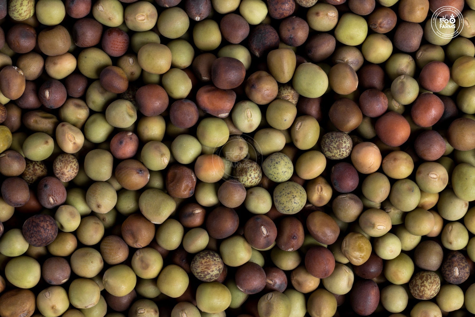 OOO Farms Whole Dongar Green Peas