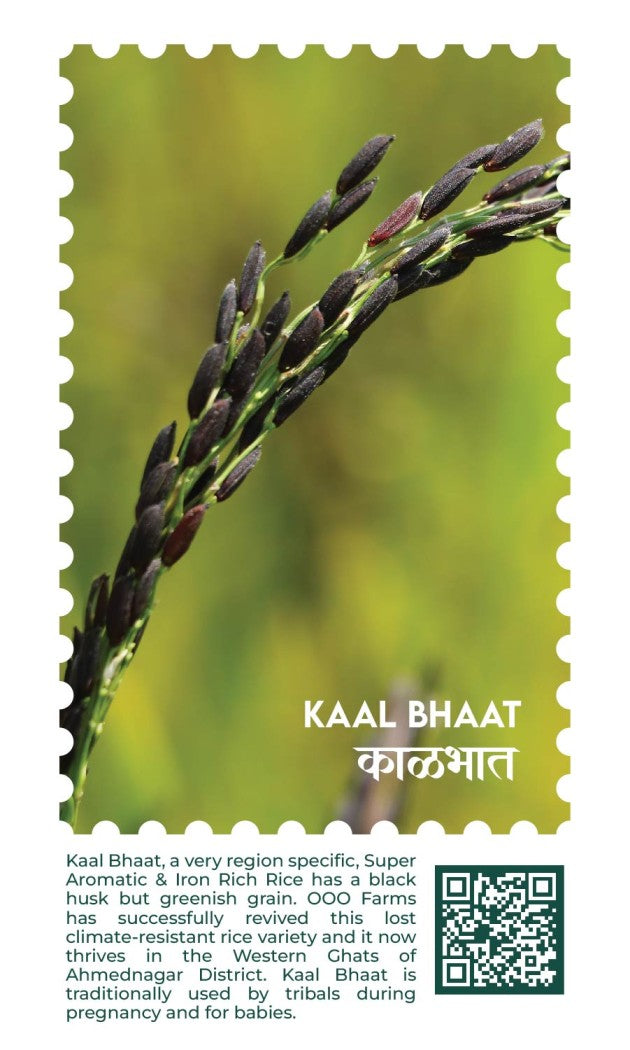 Rice Festival / भात महोत्स्व 2026