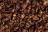 Karvanda Dried Fruit Karvanda Dried Fruit