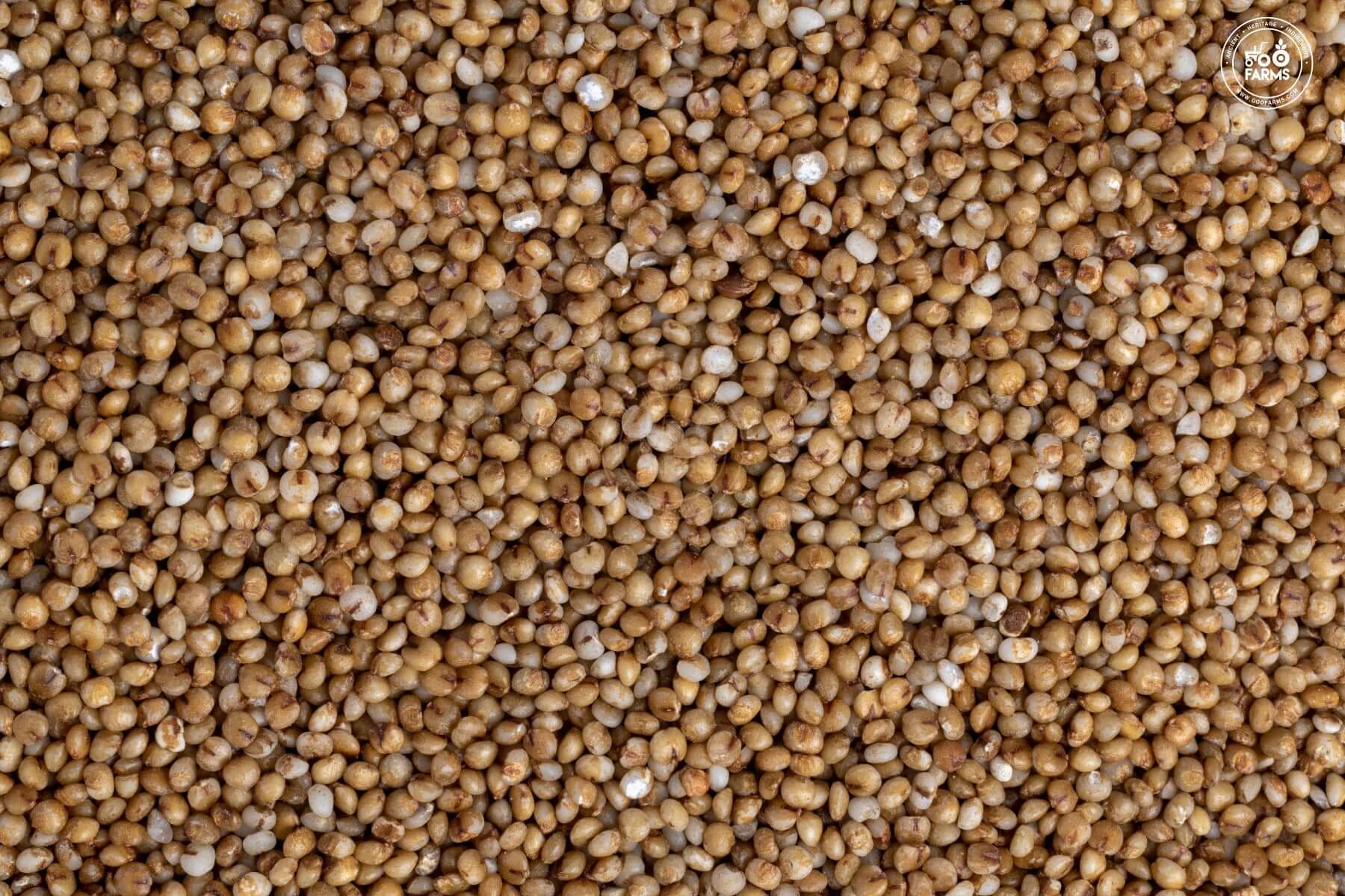 OOO Farms Kodo Millet