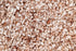 OOO Farms Konkan Red Rice (Semipolished) OOO Farms Konkan Red Rice (Semipolished)