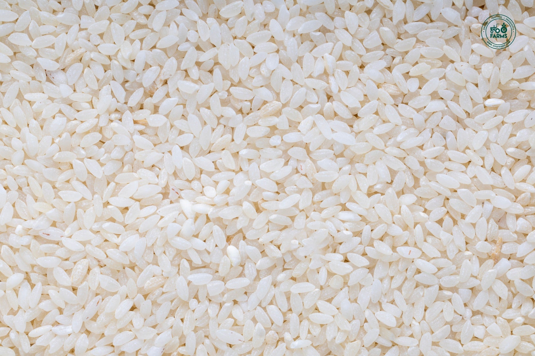 OOO Farms Kothimbir Sal Rice (Semipolished)