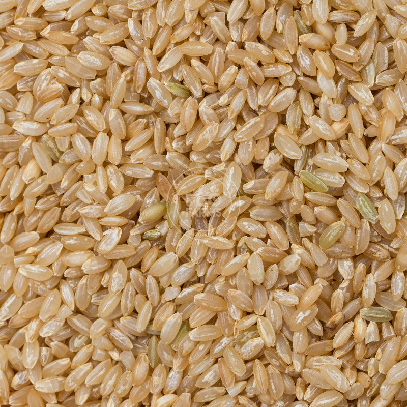 OOO Farms Kothimbir Sal Rice (Unpolished)