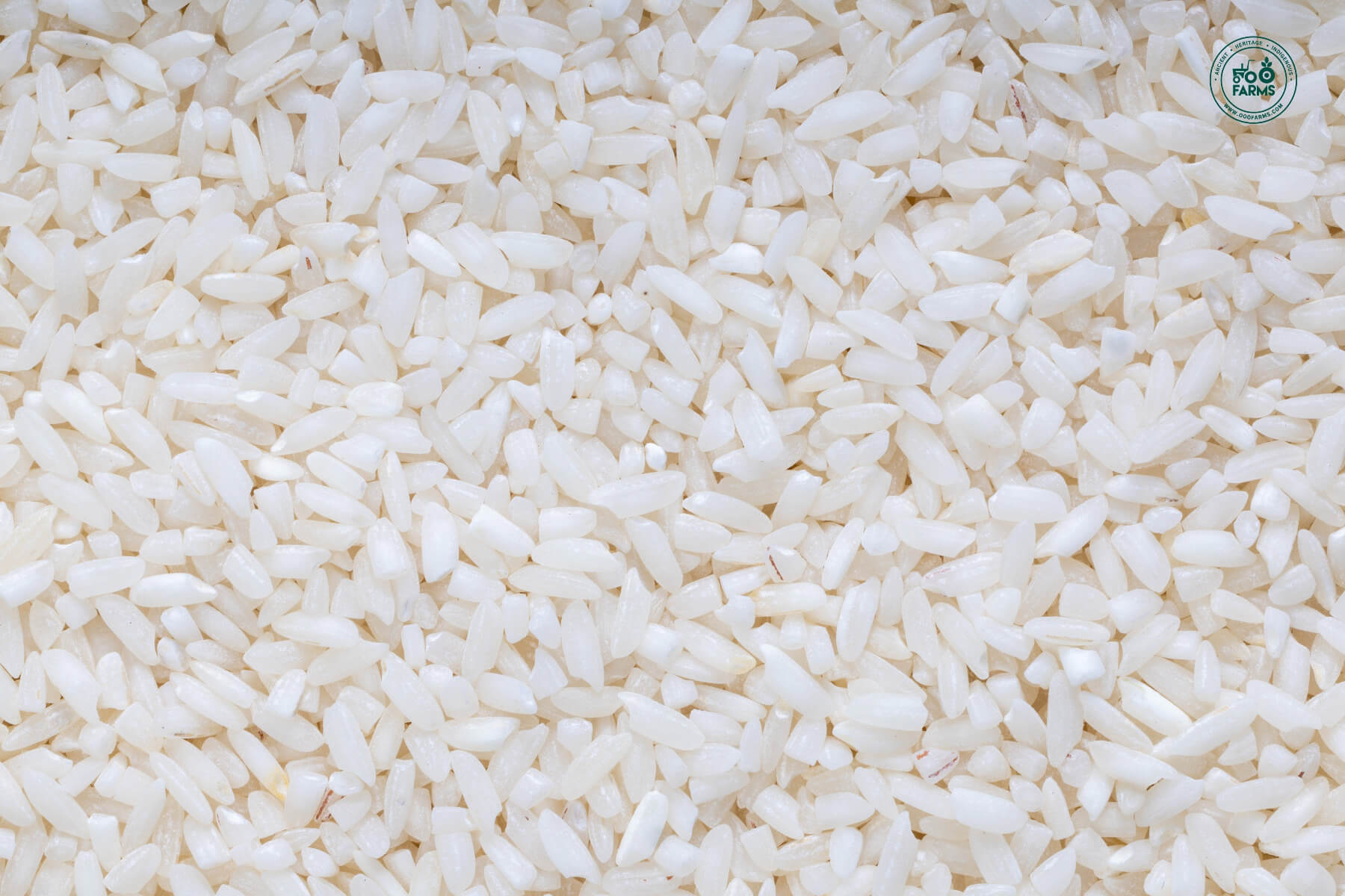 OOO Farms Krishna Kamod Rice (Semipolished)