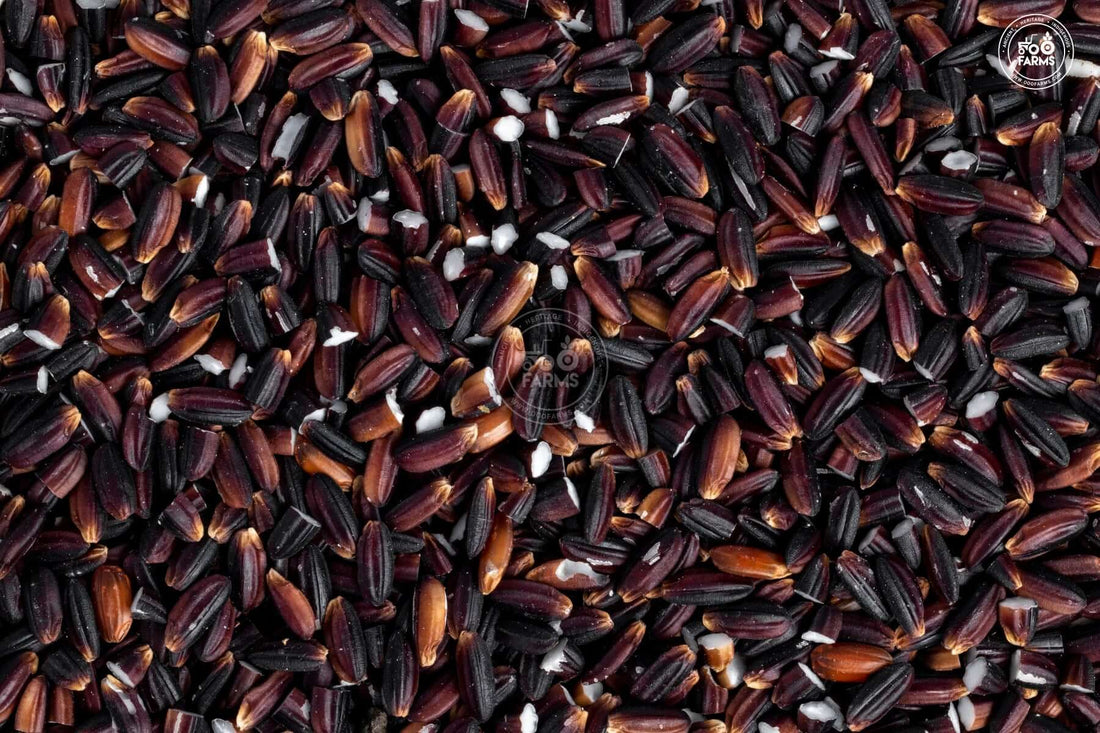 OOO Farms Krishna Black Rice (Unpolished)