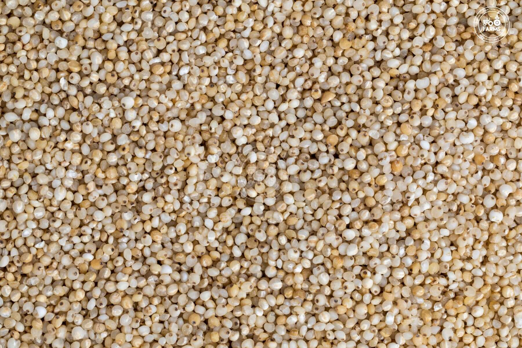 OOO Farms Little Millet
