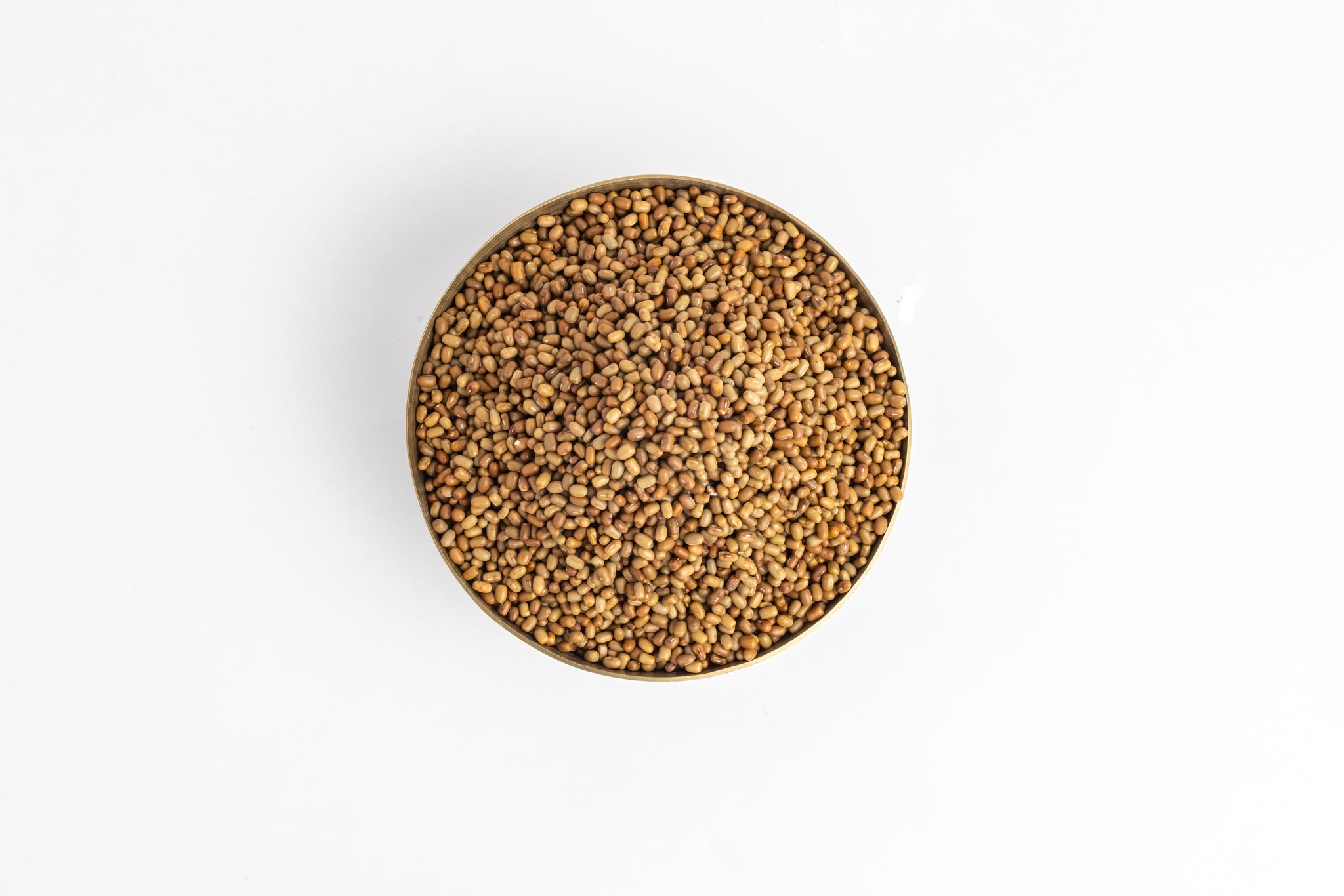 OOO Farms Whole Moth Bean in a Bowl