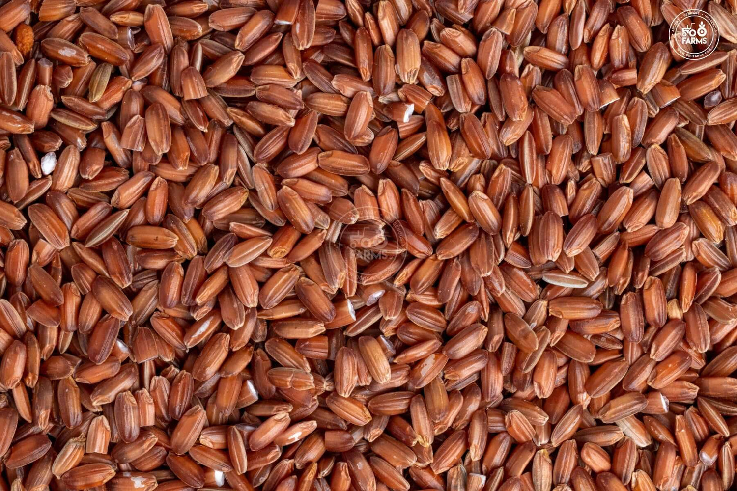 OOO Farms Njavara / Navara Rice (Unpolished) OOO Farms Njavara / Navara Rice (Unpolished)