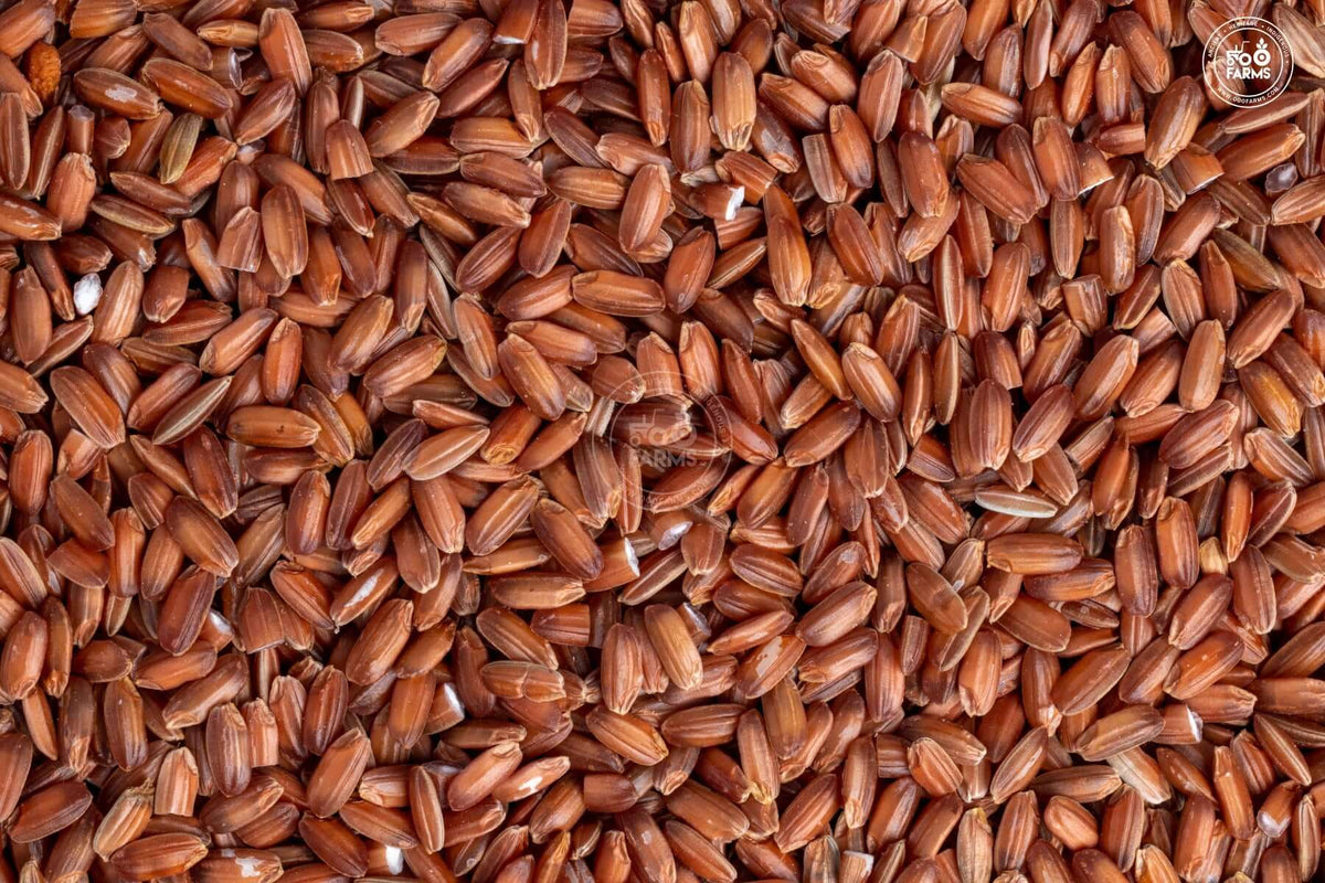 OOO Farms Njavara / Navara Rice (Unpolished)