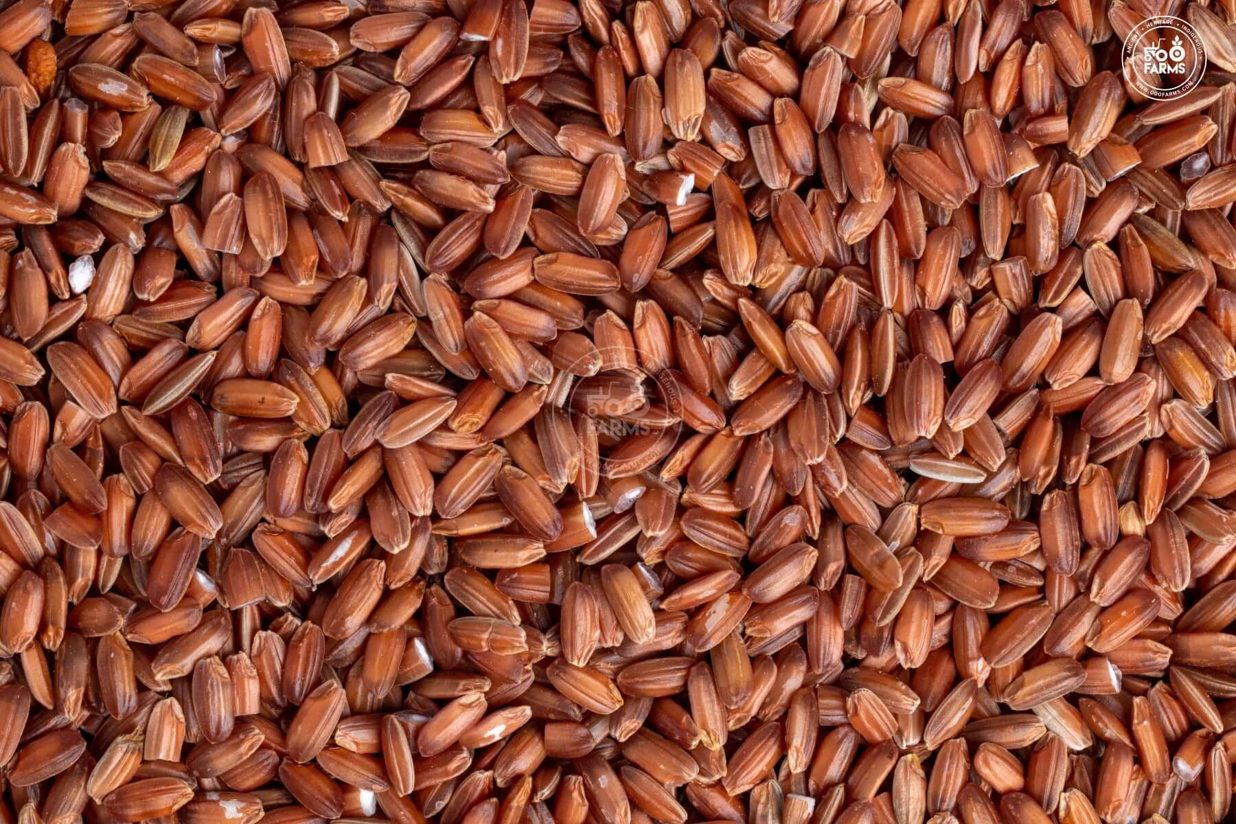 OOO Farms Njavara / Navara Rice (Unpolished)