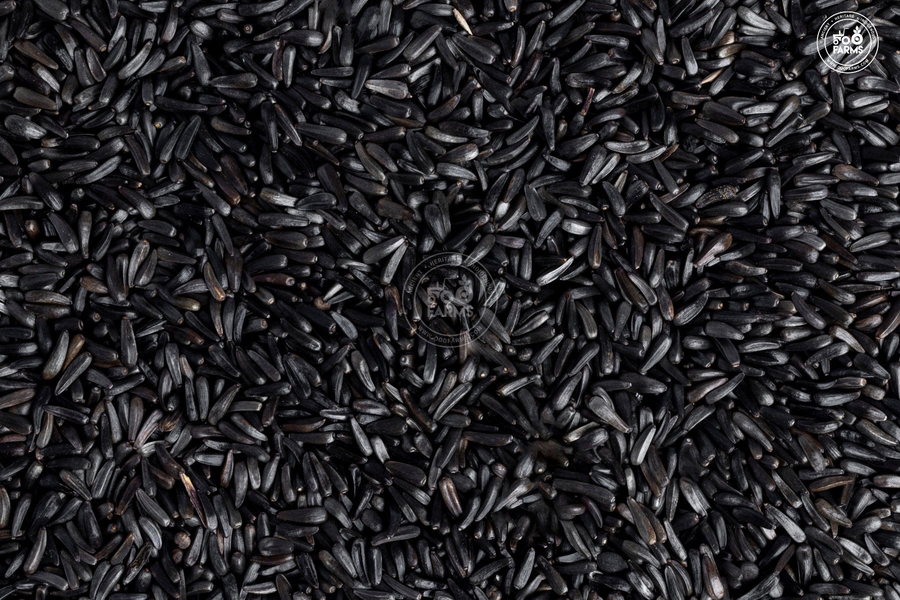 OOO Farms Niger Seeds