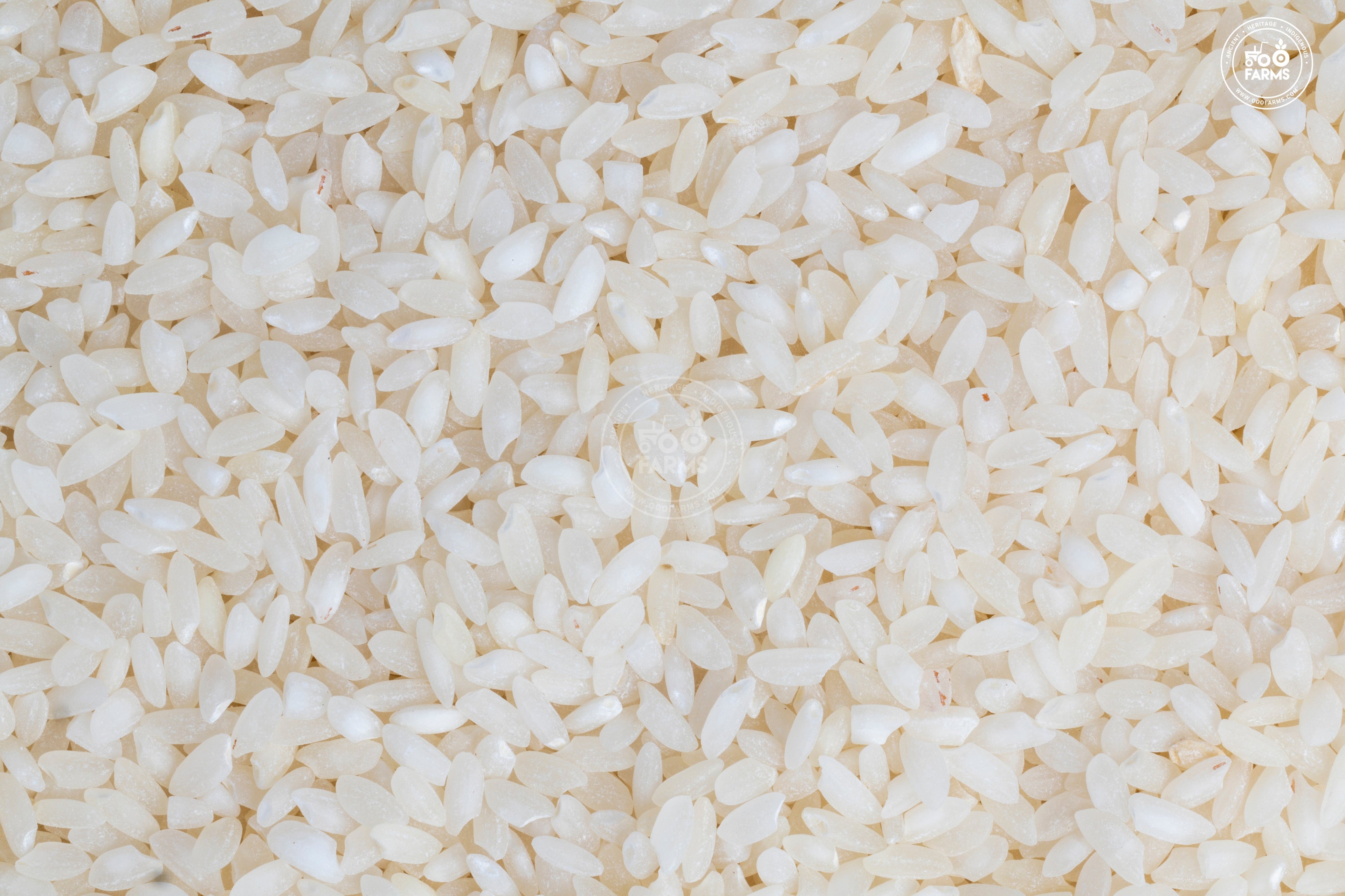 OOO Farms Ambemohar Rice (Semipolished)