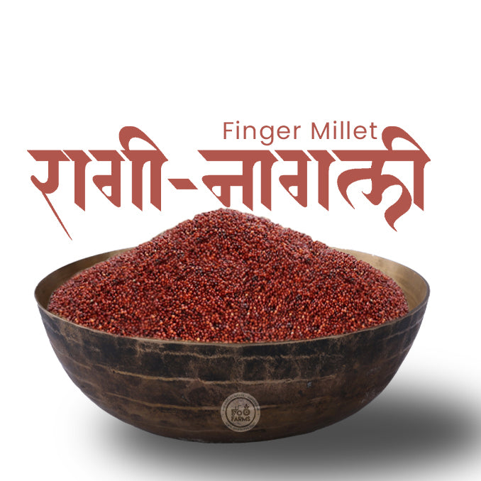 OOO Farms Finger Millet in a Bowl