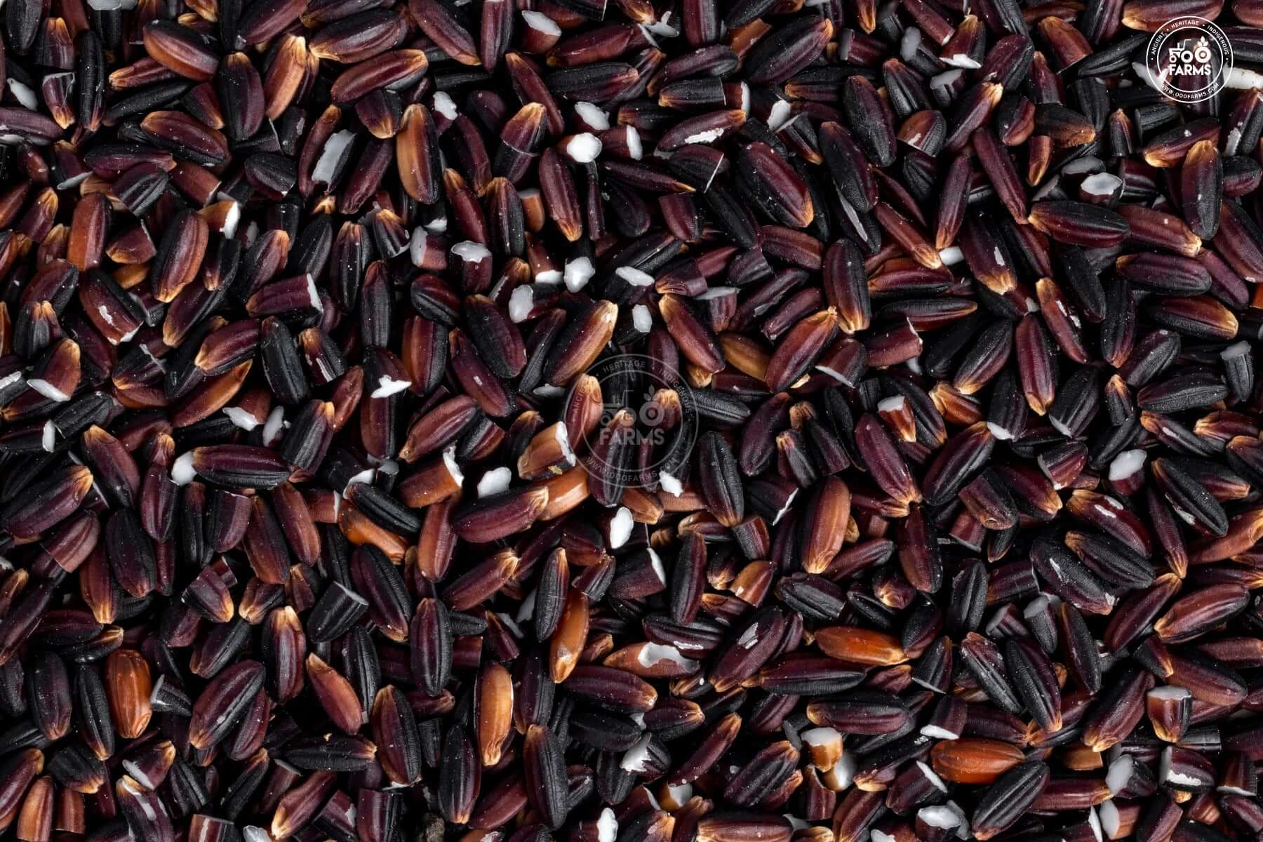 OOO Farms Krishna Black Rice (Unpolished)