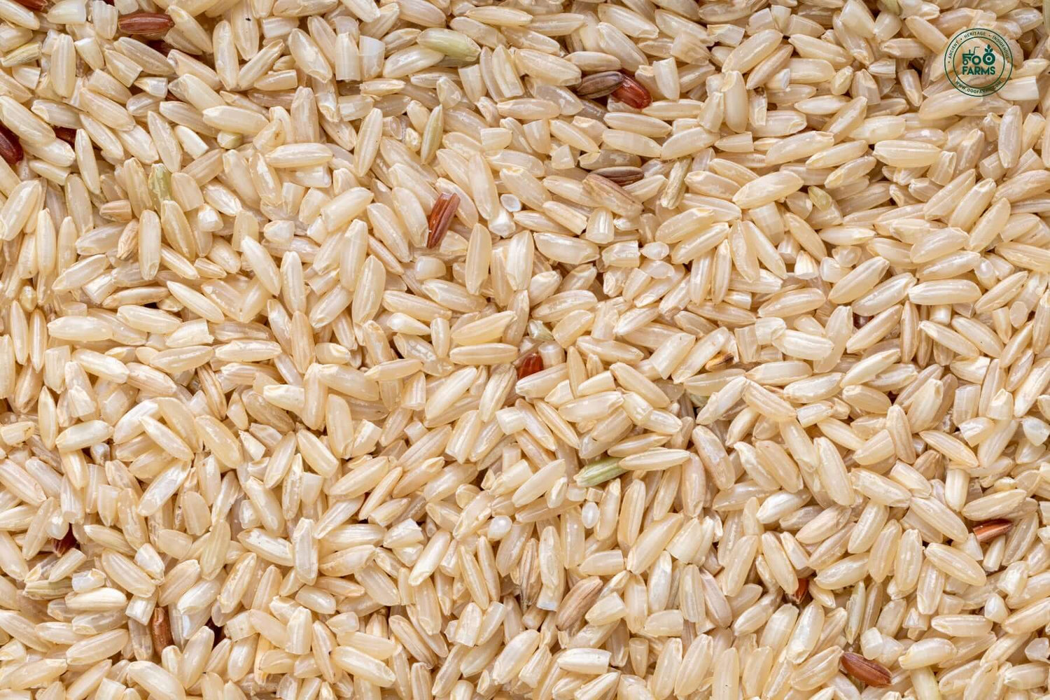 OOO Farms Krishna Kamod Rice (Unpolished) OOO Farms Krishna Kamod Rice (Unpolished)