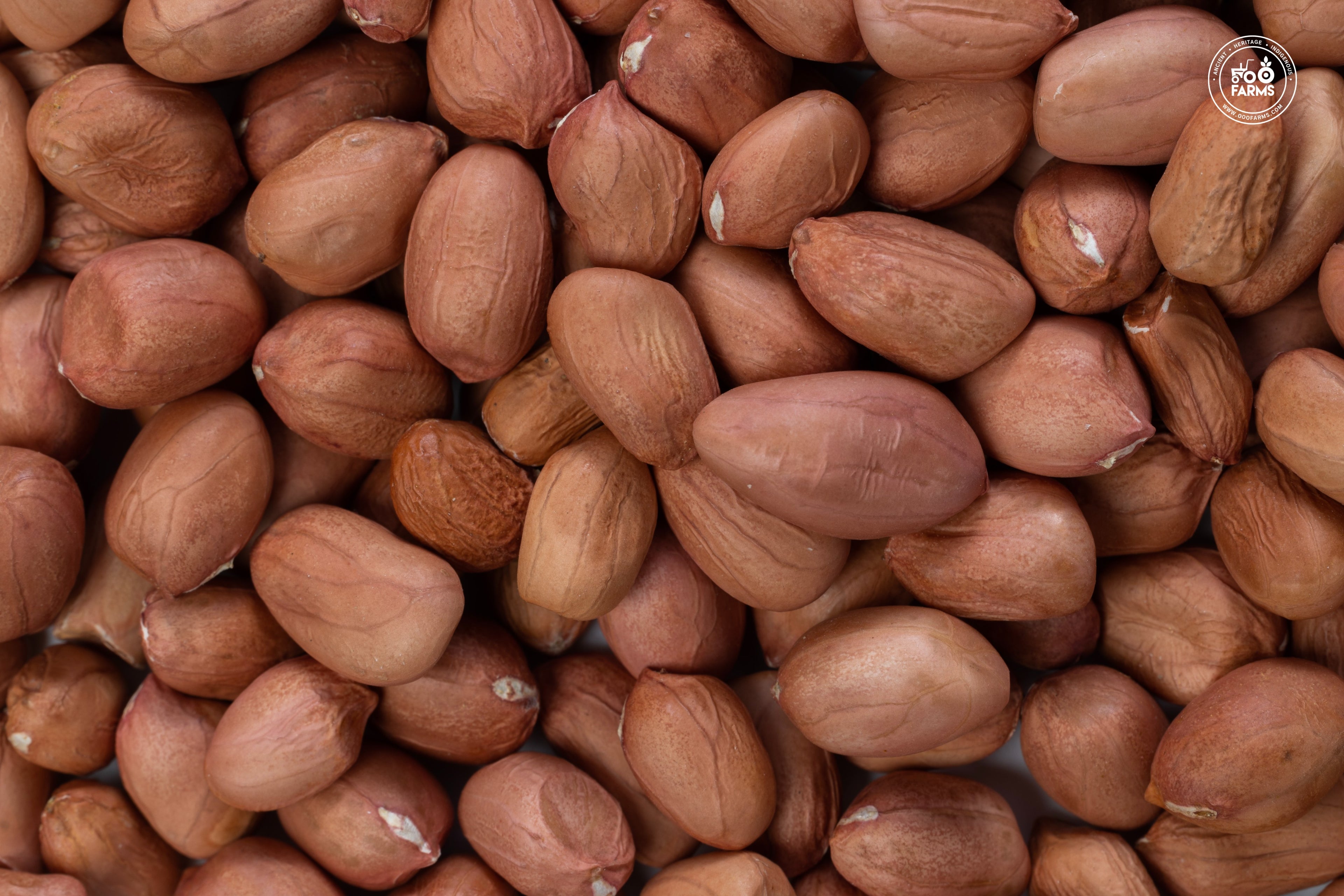 OOO Farms Pink Groundnut