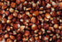 OOO Farms Red Corn Whole 1 OOO Farms Red Corn Whole 1