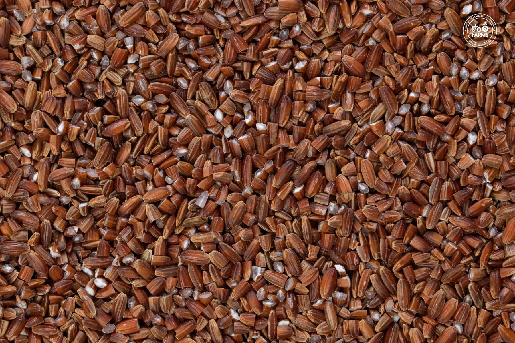 OOO Farms Scarlet Rice (Unpolished)