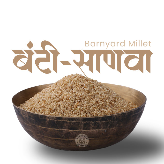 OOO Farms Whole Barnyard Millet in a Bowl