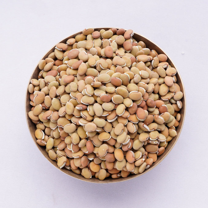 OOO Farms Whole Bitter Field Bean in a Bowl