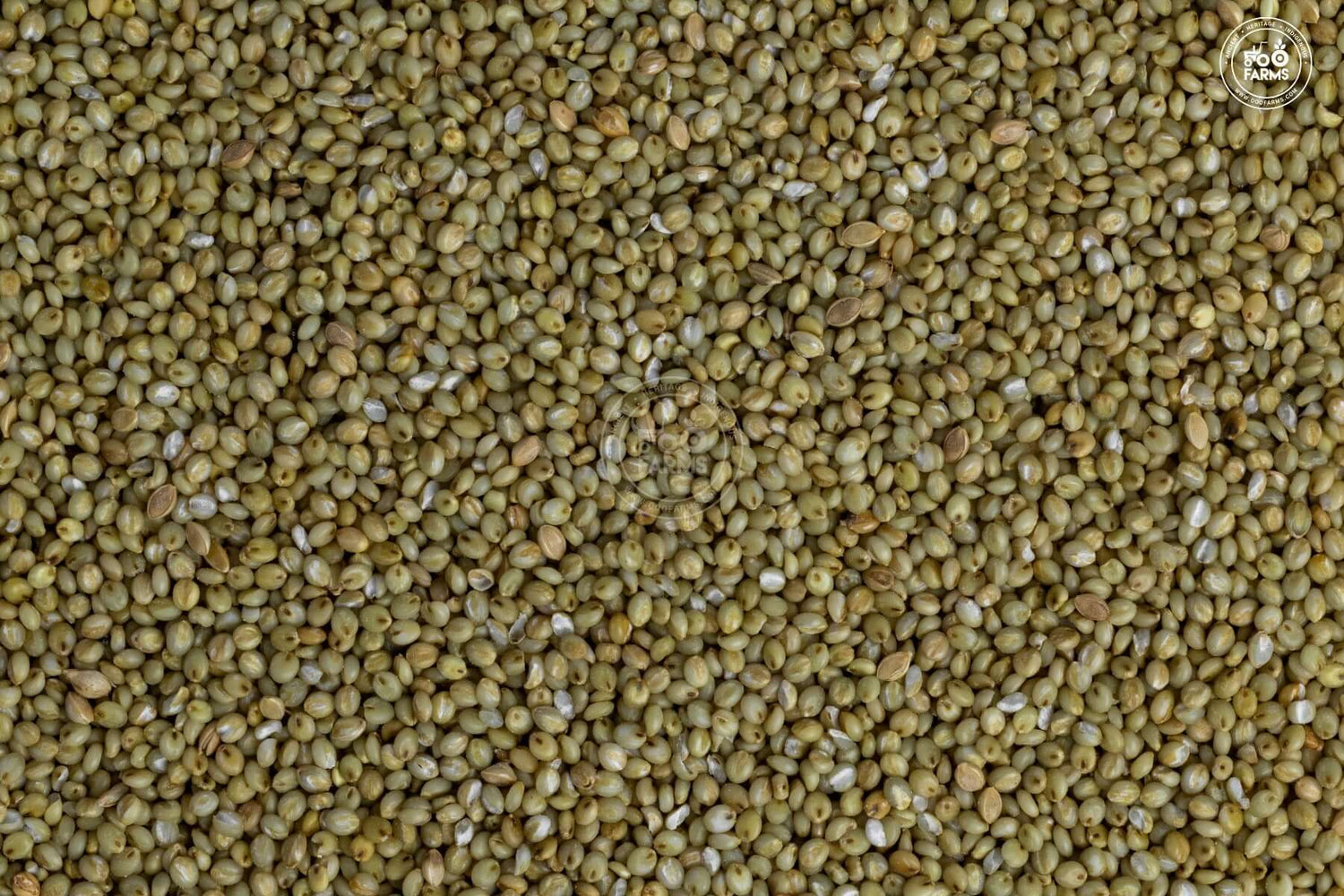 OOO Farms Whole Browntop Millet