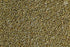 OOO Farms Whole Browntop Millet OOO Farms Whole Browntop Millet