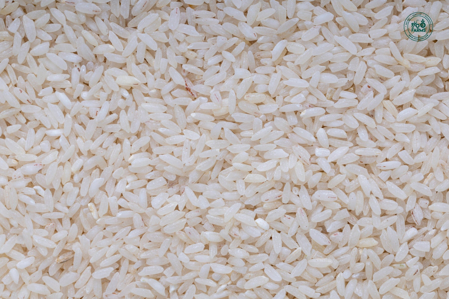OOO Farms Rajghudiya Rice (Semipolished) OOO Farms Rajghudiya Rice (Semipolished)