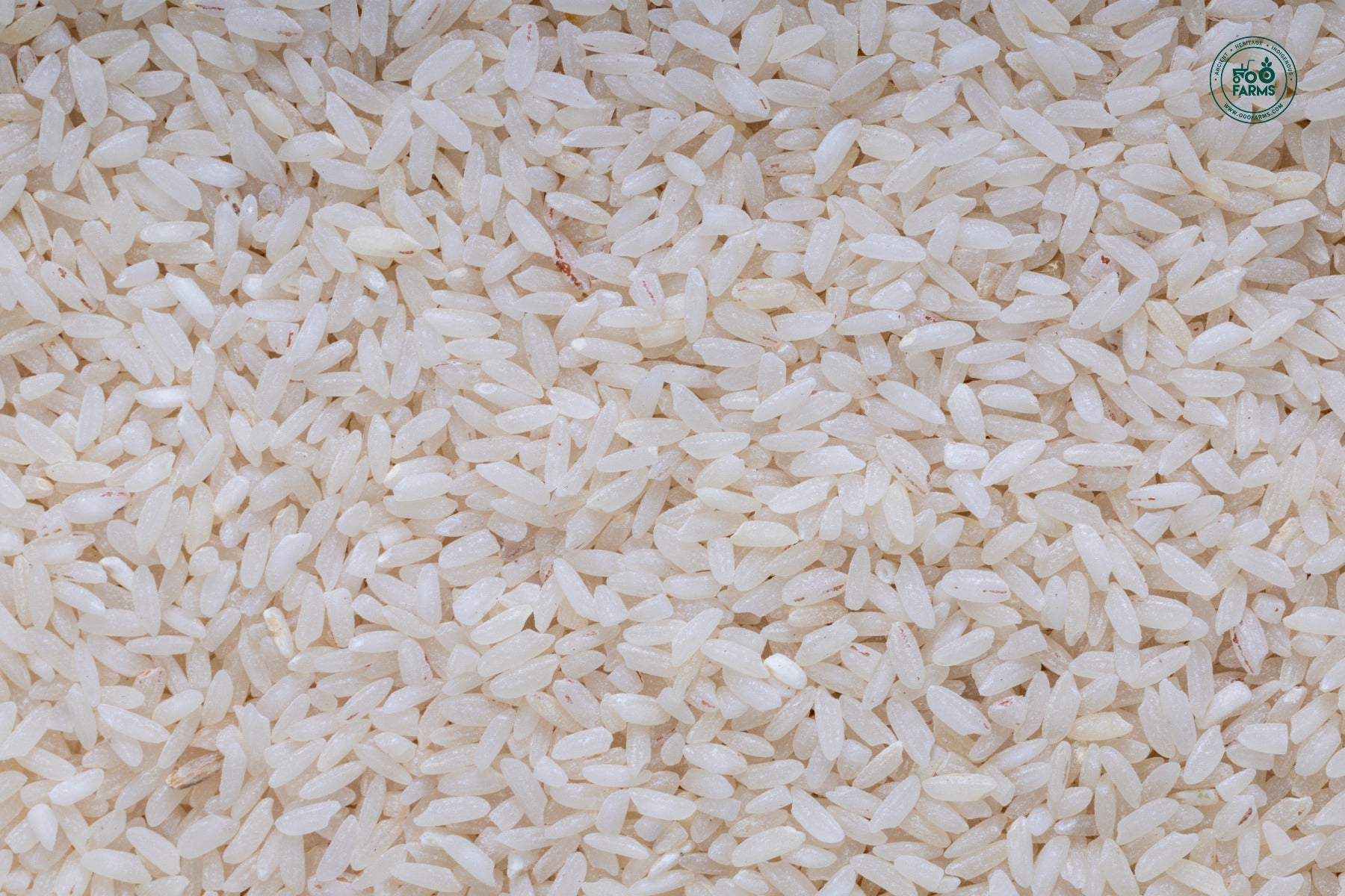 OOO Farms Rajghudiya Rice (Semipolished)