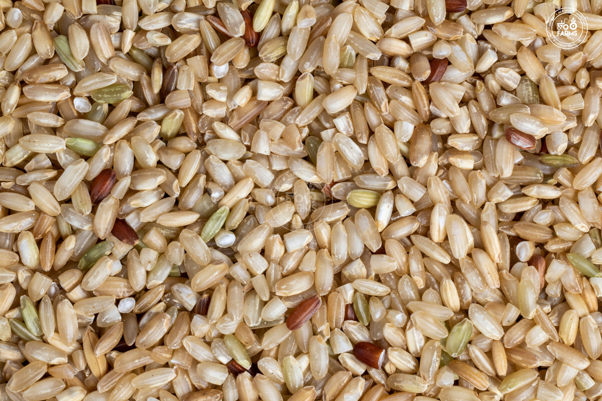 OOO Farms Rajghudiya Rice (Unpolished)