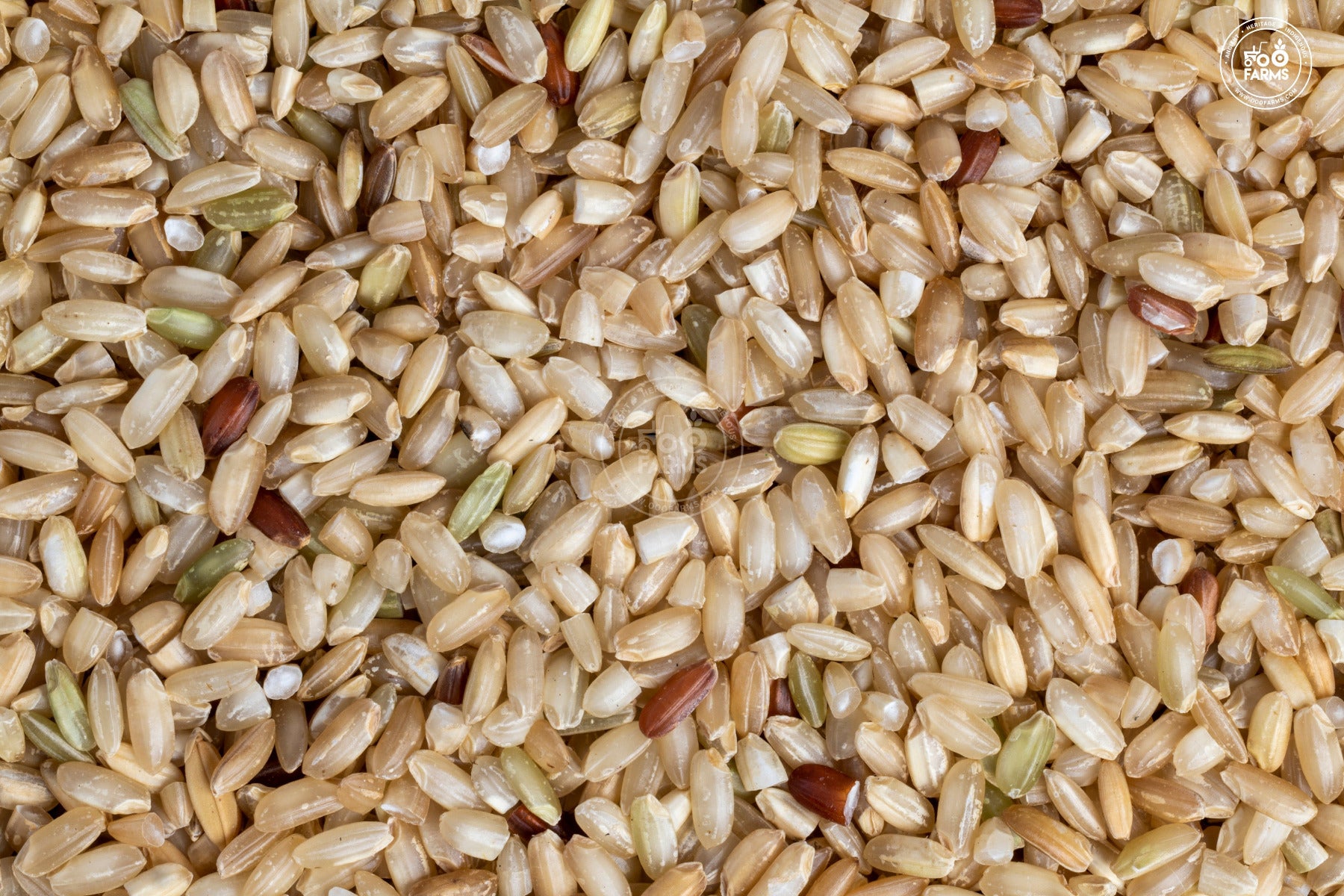 OOO Farms Rajghudiya Rice (Unpolished)