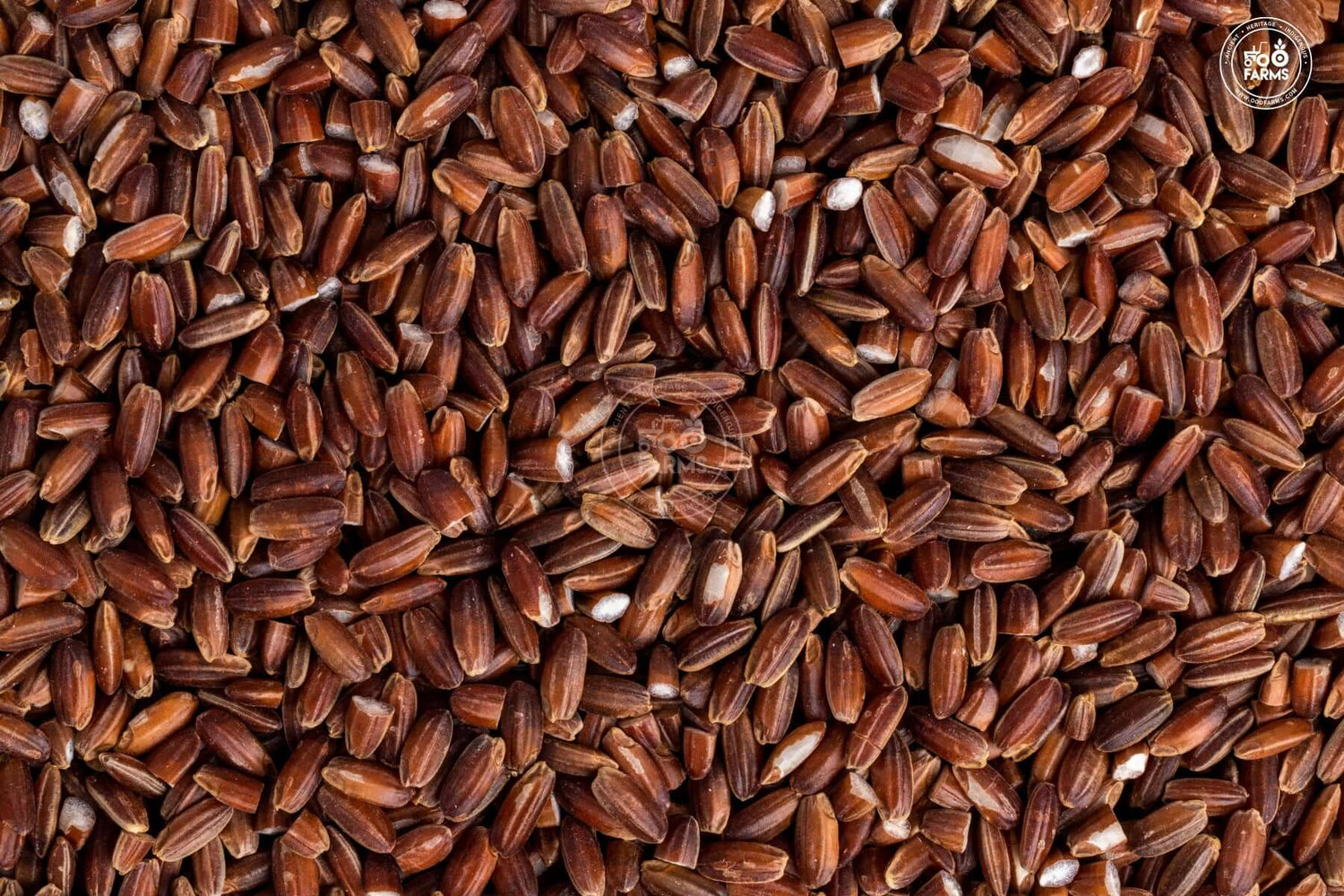 OOO Farms Raktashaali Rice (Unpolished)  OOO Farms Raktashaali Rice (Unpolished)