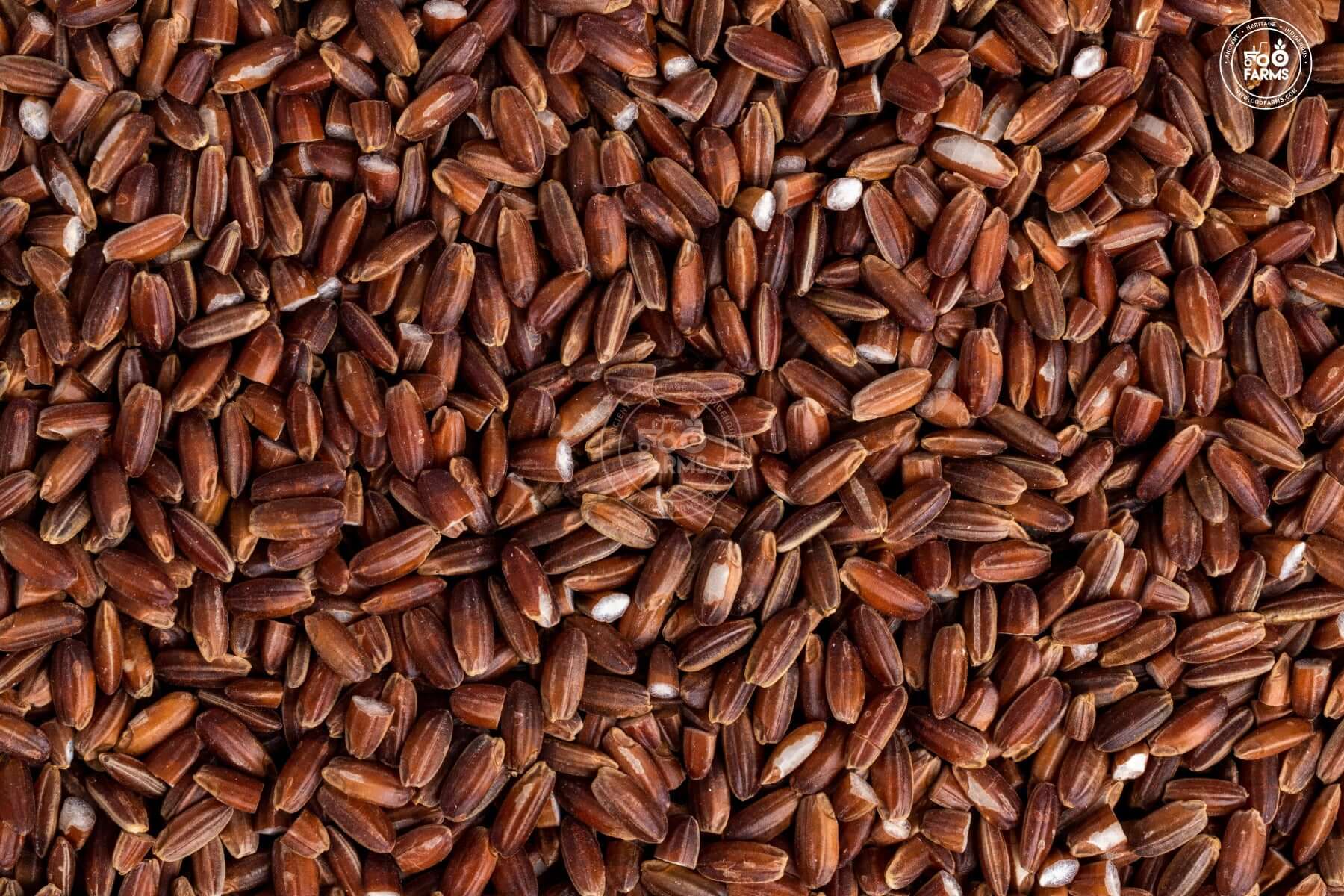 OOO Farms Raktashaali Rice (Unpolished)