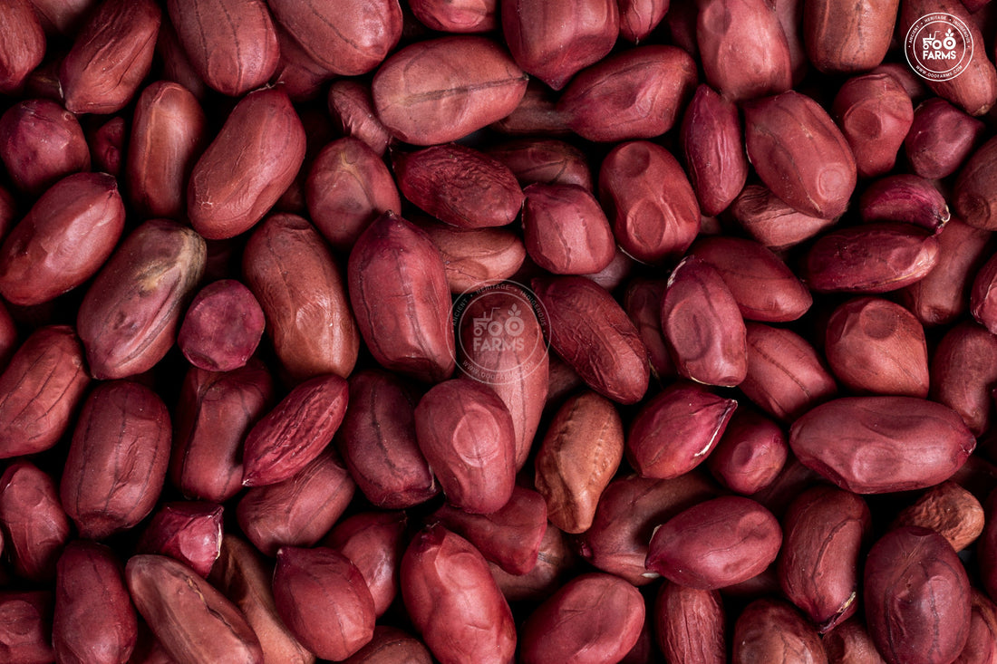 Red Jwari Groundnut