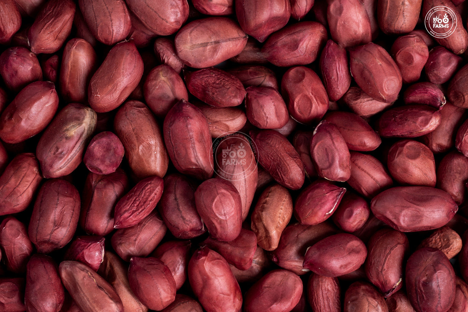 OOO Farms Red Groundnuts OOO Farms Red Groundnuts