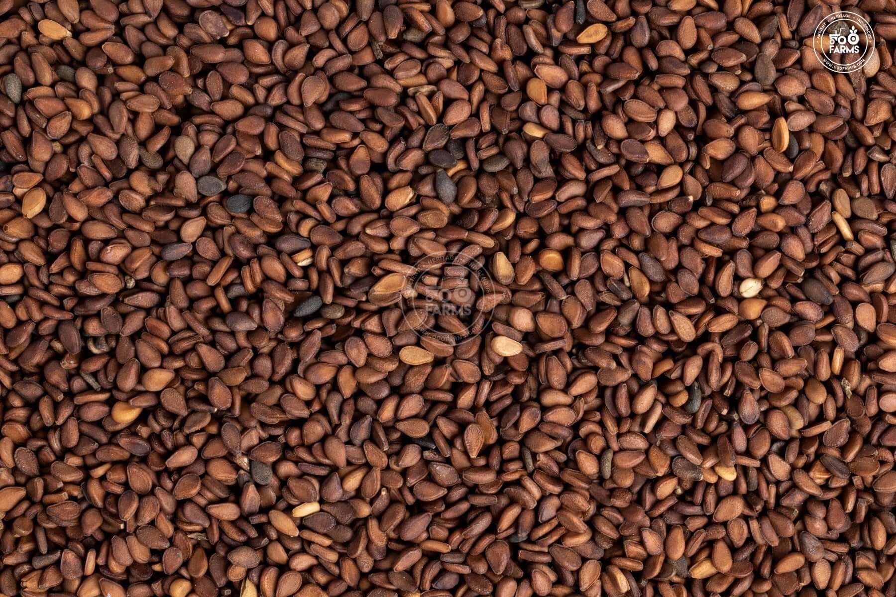 Dongar Red Sesame