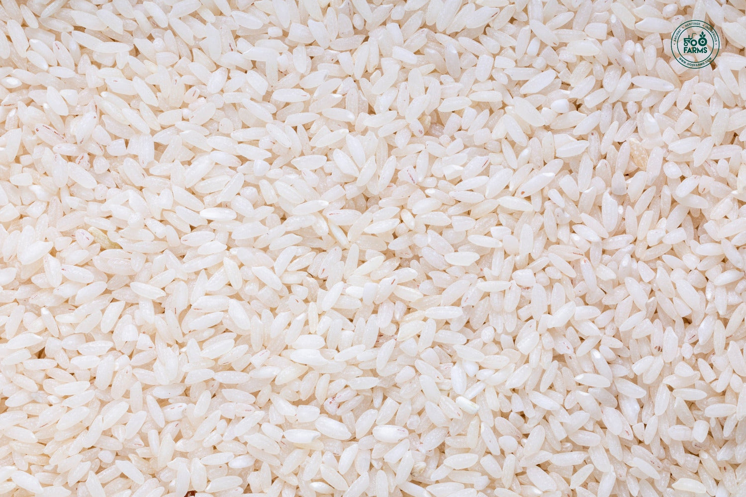 OOO Farms Royal 98 Rice (Semi Polished) OOO Farms Royal 98 Rice (Semi Polished)