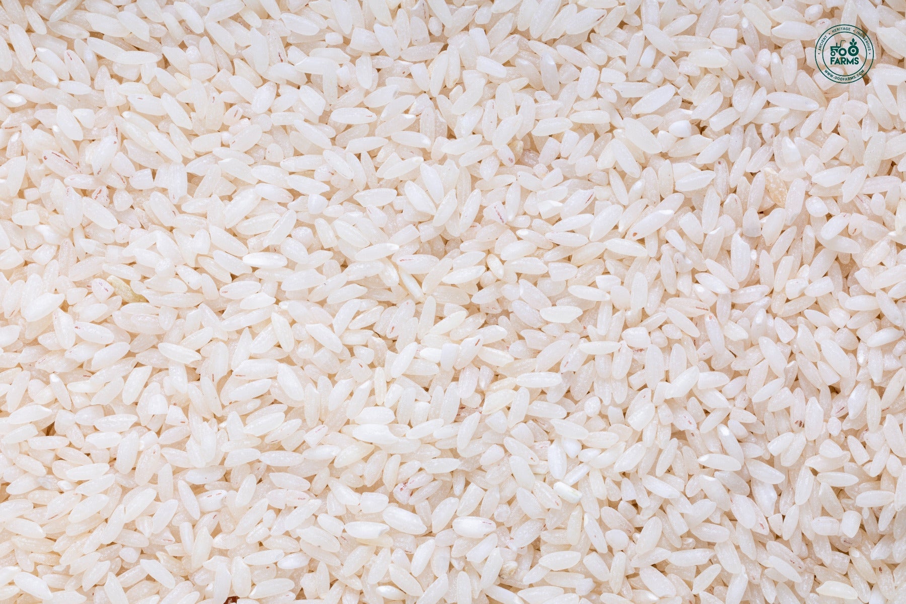 OOO Farms Royal 98 Rice (Semi Polished)