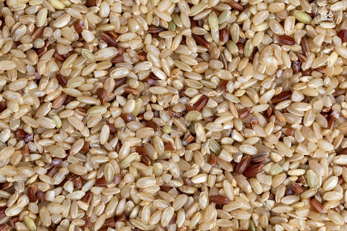 OOO Farms Royal 98 Rice (Unolished)