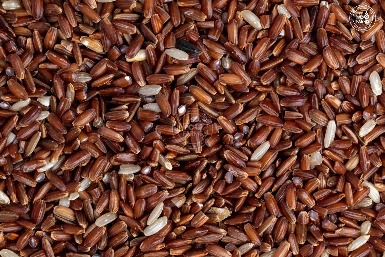 OOO Farms Royal Mysore Rice (Unolished) OOO Farms Royal Mysore Rice (Unolished)