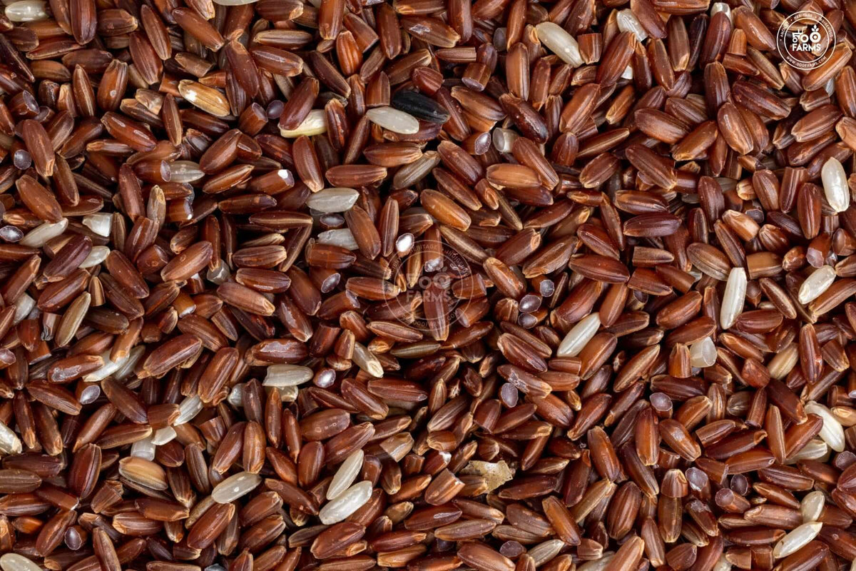 OOO Farms Royal Mysore Rice (Unolished)