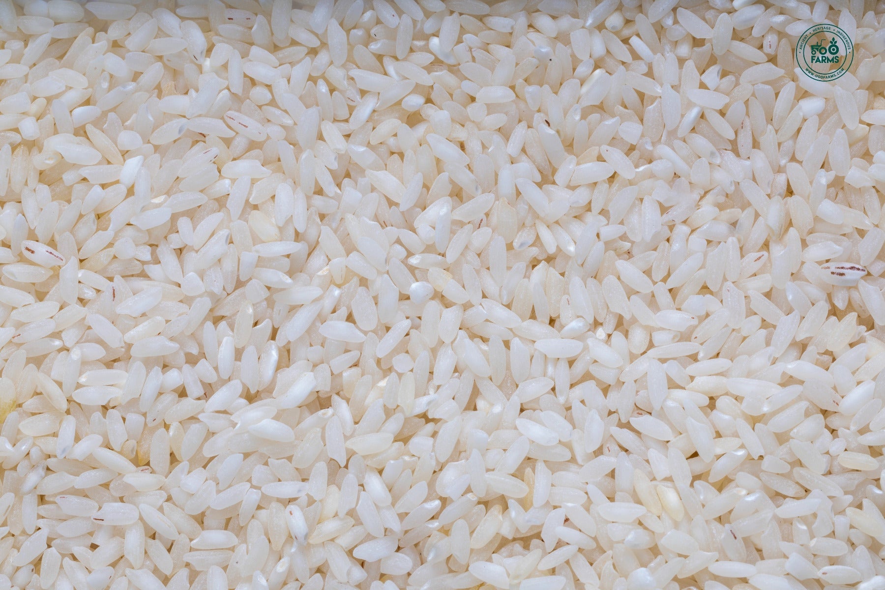 OOO Farms Sahyadri Royal Rice (Semipolished)