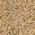 OOO Farms Sahyadri Black Rice (Unpolished) OOO Farms Sahyadri Black Rice (Unpolished)
