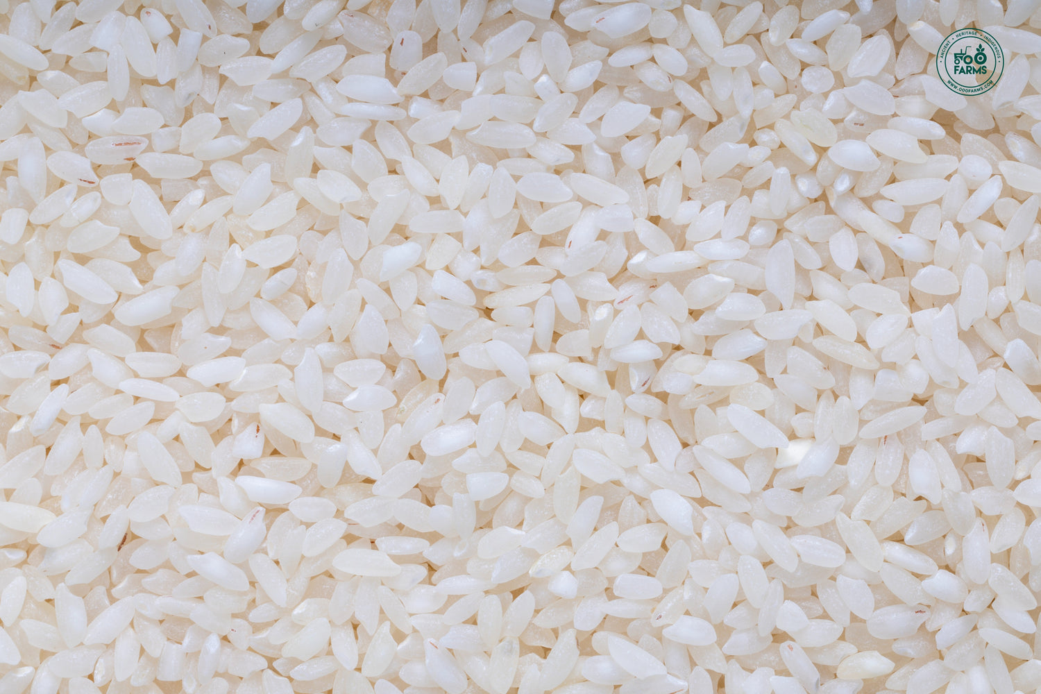 OOO Farms Sattaone Rice (Semi Polished) OOO Farms Sattaone Rice (Semi Polished)