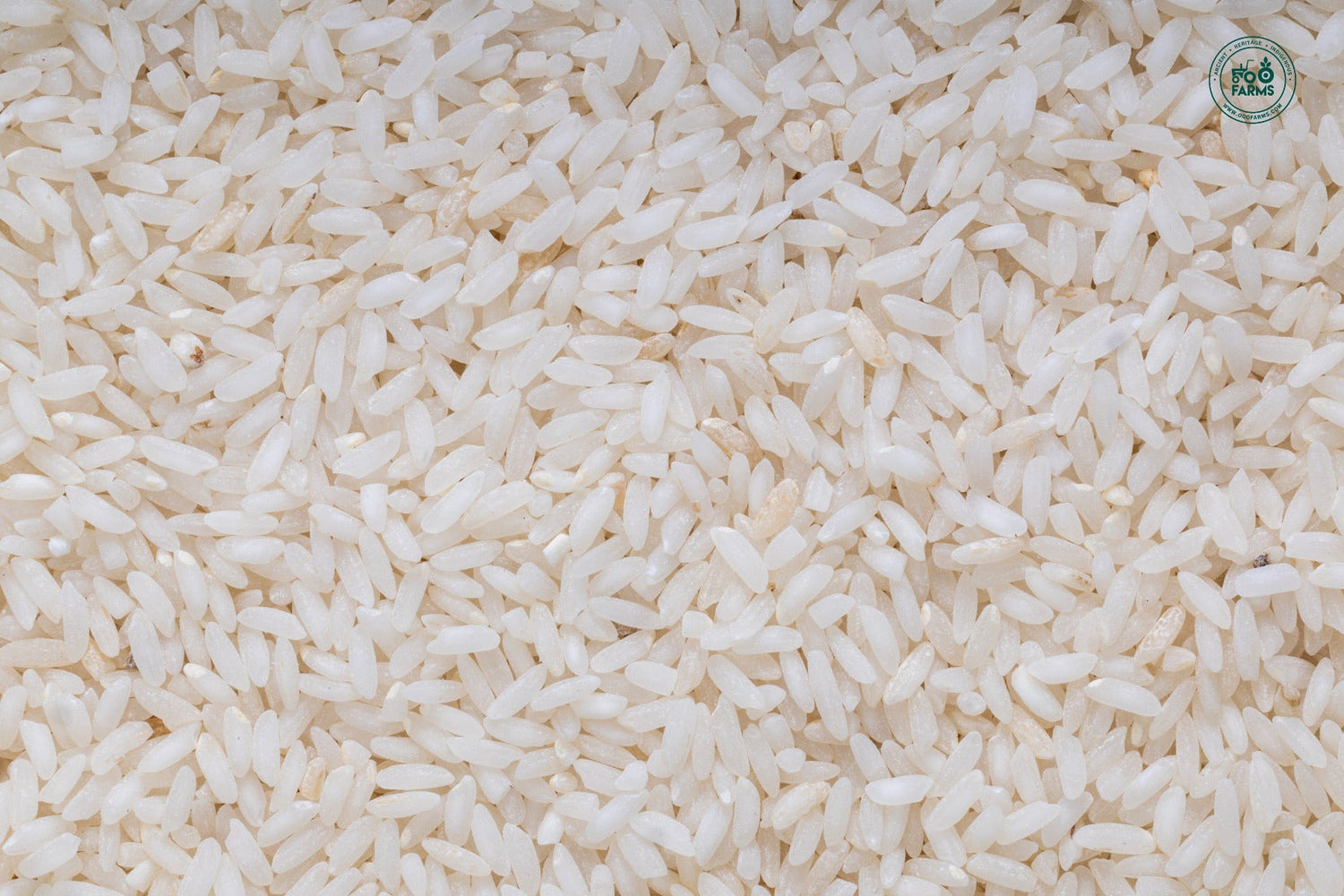 OOO Farms Siddhasanna Rice (Semipolished) OOO Farms Siddhasanna Rice (Semipolished)