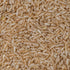 OOO Farms Siddhasanna Rice (Unpolished) OOO Farms Siddhasanna Rice (Unpolished)