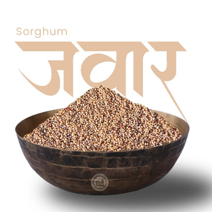 OOO Farms Sorghum Millet in a Bowl