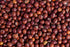 Whole Pigeon Pea / Toor Whole Pigeon Pea / Toor