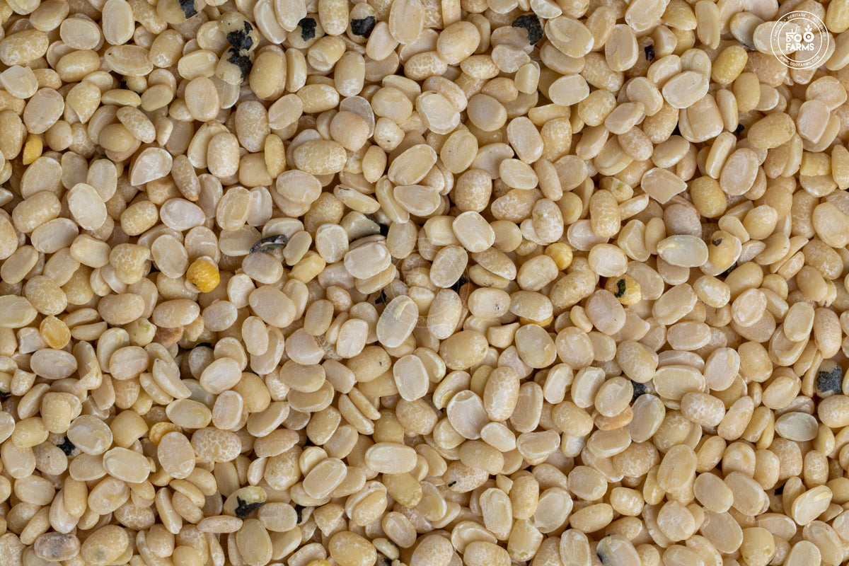 OOO Farms Unpolished Urad Dal