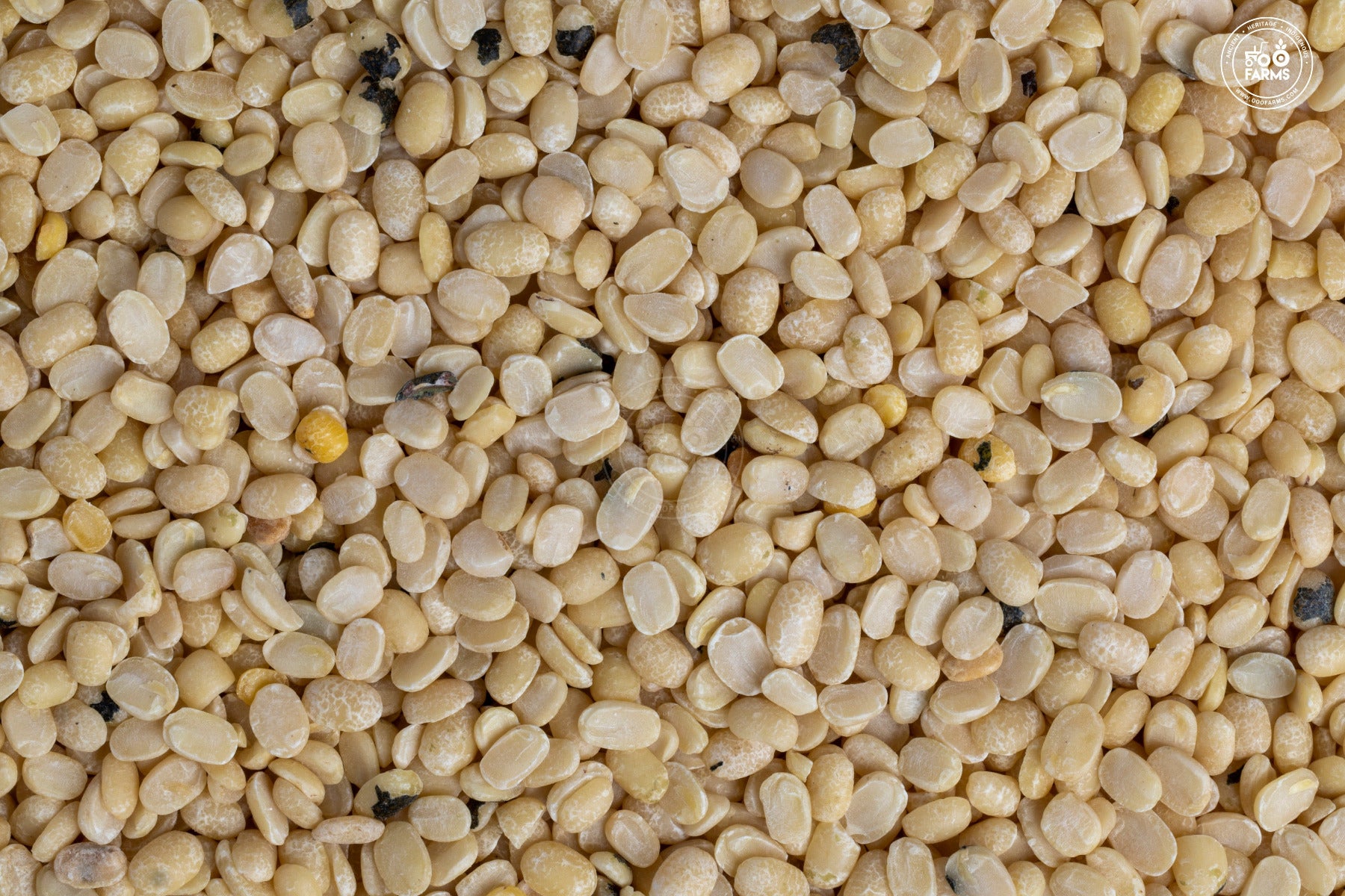 OOO Farms Unpolished Urad Dal