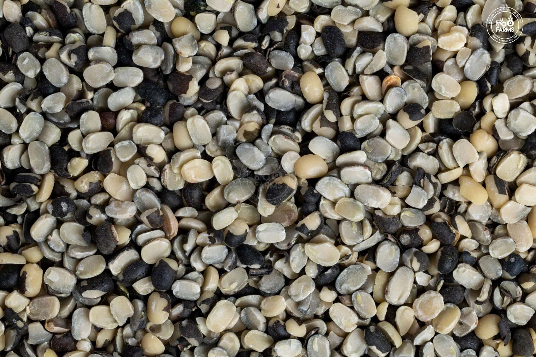 OOO Farms Black Gram Split Dal With Cover